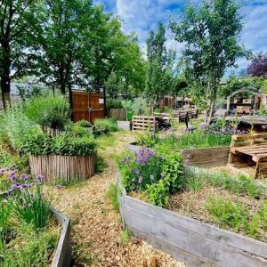 Récoltes Arômatiques au Jardin 21