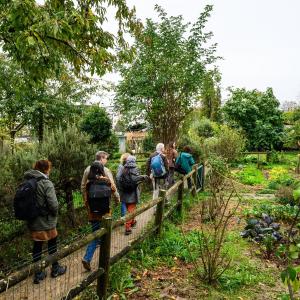 Visite et atelier cyanotype : « Entre nature et ville : les formes de la résilience écologique » - Journées du patrimoine