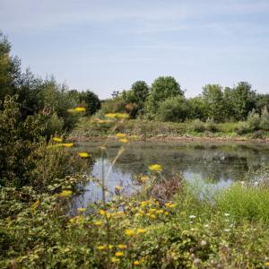 Balade botanique dans le parc départemental de la Haute-Île