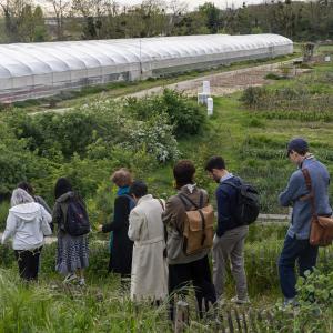 Visite et atelier de croquis en plein air « L’Île-Saint-Denis : reconquérir le vivant » - Journées du patrimoine