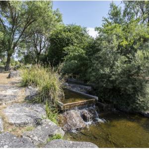Les mystères de la nature sauvage au Parc Georges Valbon