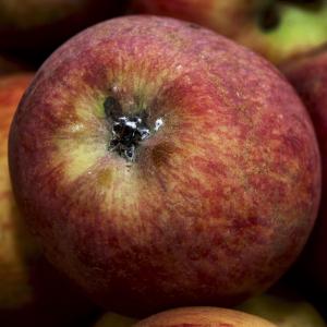 Démonstration - Les mécanismes du réchauffement climatique : acidification des océans