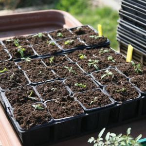 Démonstration - Les mécanismes du réchauffement climatique : acidification des océans