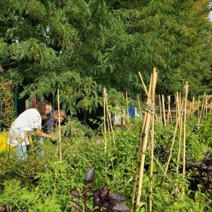 ​Visite de la Prairie du canal, ferme urbaine à Bobigny​