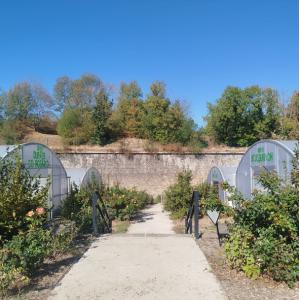 ​Visite de la Prairie du canal, ferme urbaine à Bobigny​