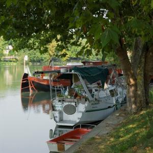 Bike tour on the Marne riverbanks