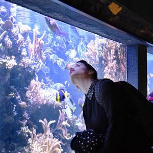 L'aquarium tropical du Palais de la Porte Dorée © KoS
