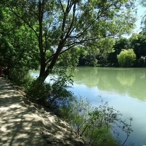Balade le long de la Marne : de Neuilly-Plaisance à la Confluence