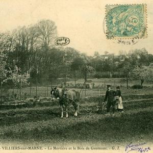Des bords de Marne au Bois de Vincennes, la Belle Époque en cartes postales