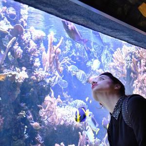 Visite de l'aquarium du Palais de la Porte Dorée