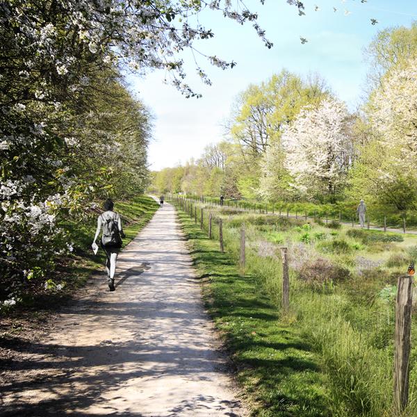 Balades faciles à vélo sur la Tégéval