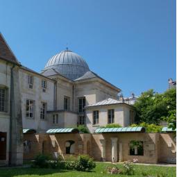 Découverte patrimoniale de Saint-Denis entre archéologie et riches collections - Conférence virtuelle