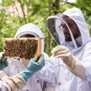 Initiation à l'apiculture urbaine dans le jardin du Palais de Tokyo