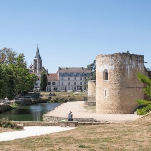 Brie-Comte-Robert du Moyen Âge au nouvel âge - Archipel francilien