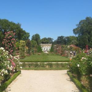 Balade aux jardins de Bagatelle, du XVIIIe siècle à nos jours - Conférence virtuelle