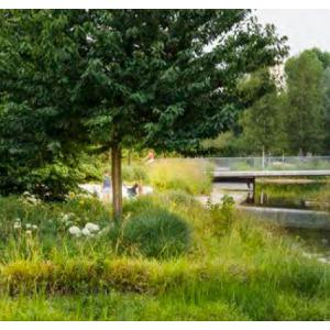 Parcs et jardins de Boulogne-Billancourt : mettez-vous au vert et au bleu ! - Balade virtuelle