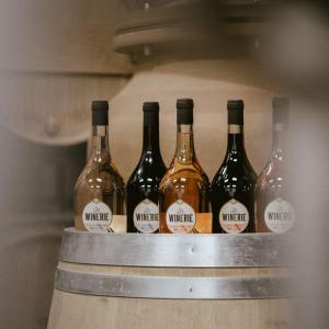 La Winerie, initiation au vin bio produit aux portes de Paris