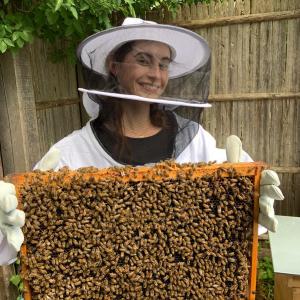 Découverte de l'apiculture aux Ruches de La Villette