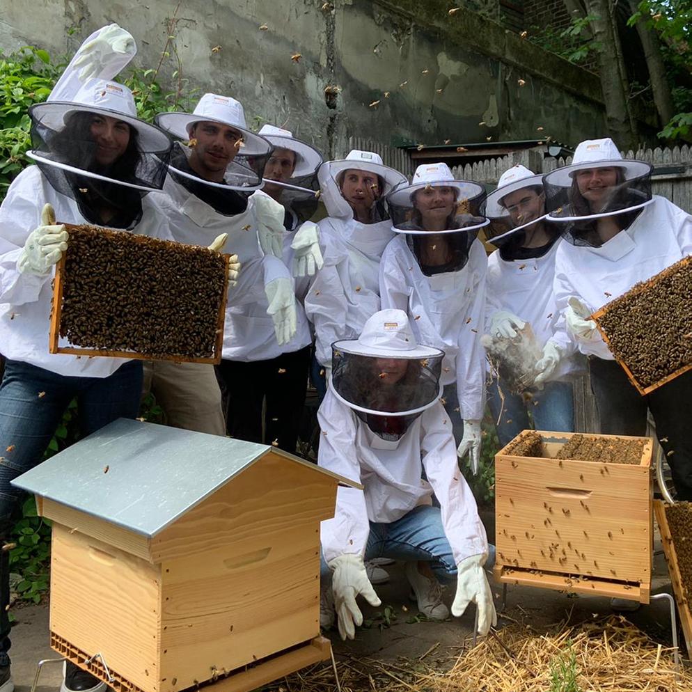 Matériel d'apiculture dans la Marne