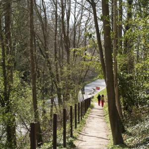 Ailleurs au bois de Montjean -  Promenade artistique à Fresnes