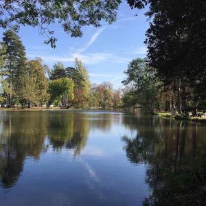 Balade bucolique au Bois de Vincennes : Autour du lac de Gravelle