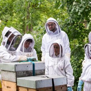 Initiation à l’apiculture raisonnée à la Fondation Goodplanet