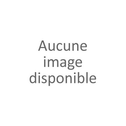 Le Centre National de la Danse, un bâtiment monumental